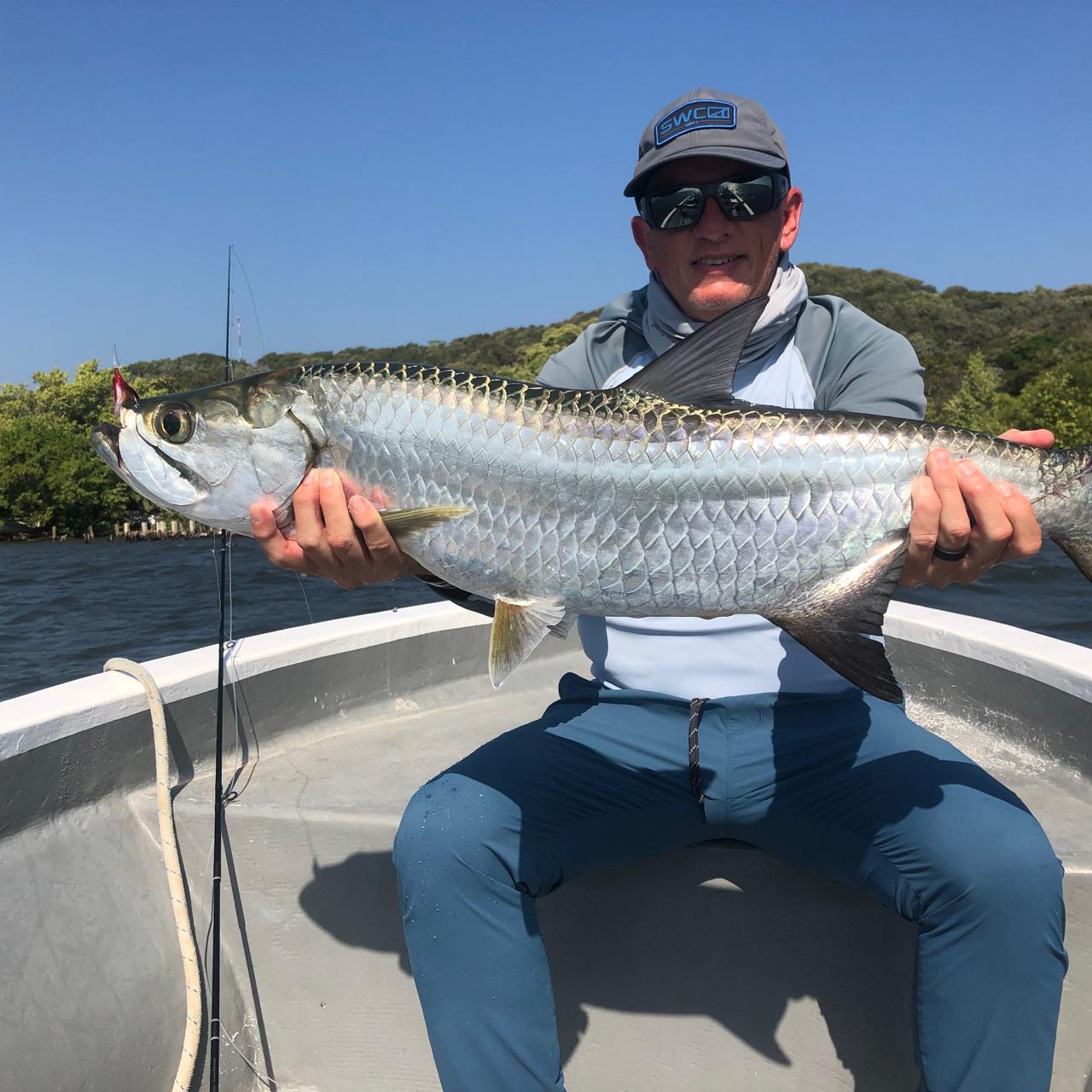 Tarpon